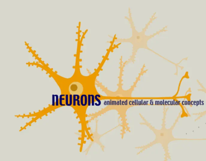Neurons, Animated Functional Concepts logo