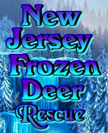 New Jersey Frozen Deer Rescue logo