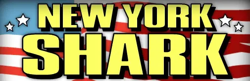 New York Shark logo