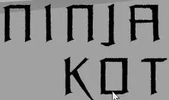 Ninja Kot logo