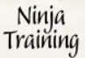 Ninja Training logo