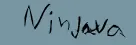 Ninjava logo