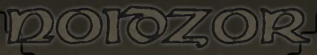 Noidzor logo