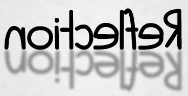 noitcelfeR logo