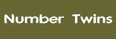 Number Twins 5-16 logo