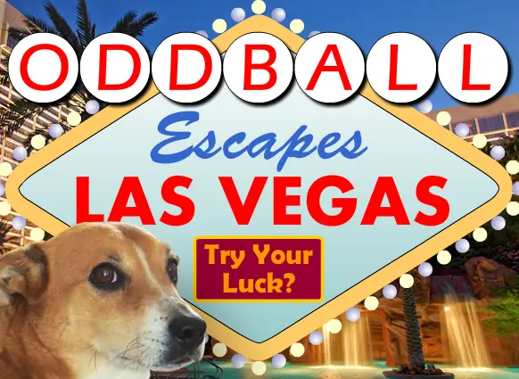 Oddball Escapes Las Vegas logo