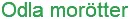 Odla morötter logo