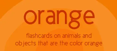 Orange flashcards logo