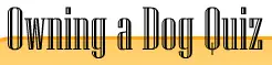 Owning a Dog Quiz logo