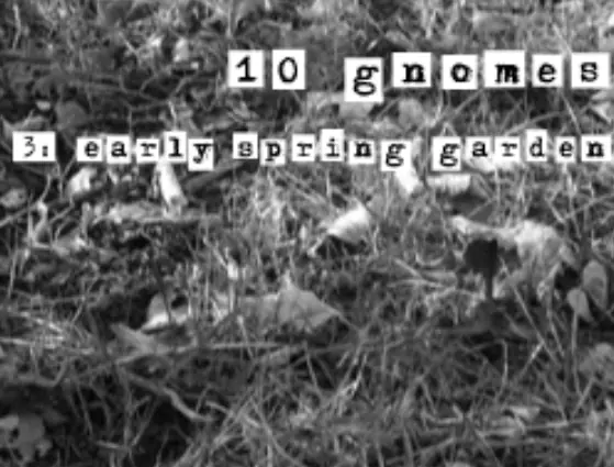 10 Gnomes 3: Spring Garden March logo