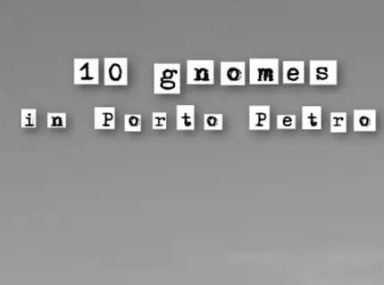 10 Gnomes in Porto Preto logo