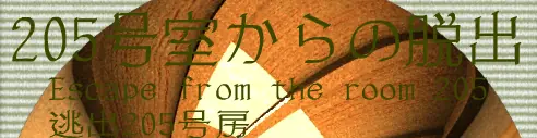 205号室からの脱出 logo