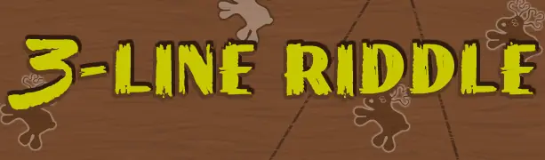 3 Line Riddle logo