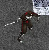 3D Flash Ninja logo