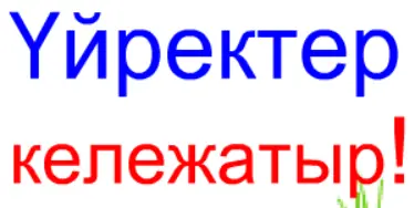 Қанша Үйрек logo