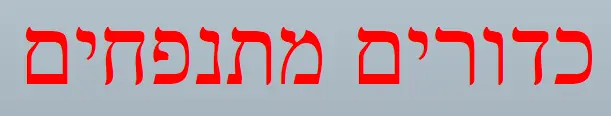 כדורים מתנפחים logo