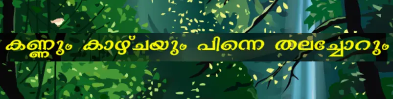 കണ്ണും കാഴ്ചയും പിന്നെ തലച്ചോറും logo