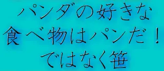 パンダの好きな食べ物はパンだ！ではなく笹 logo