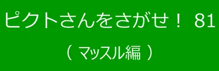 ピクトさんをさがせ！81（マッスル編） logo