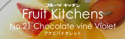 フルーツキッチン No.21 アケビバイオレット logo