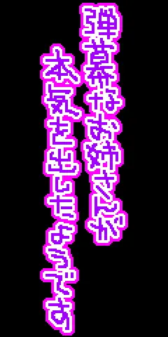 弾幕なお姉さんが本気を出したようです logo