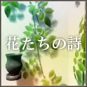 花たちの詩 logo