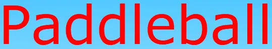 Paddleball Deluxe logo