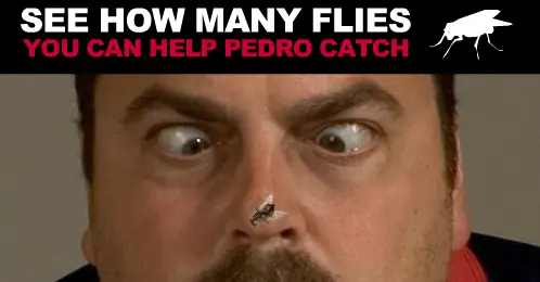 Pedro Fly Catcher logo