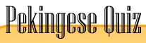 Pekingese Quiz logo