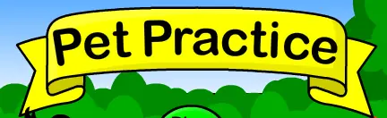 Pet Practice logo