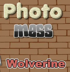 Photo Mess Wolverine logo