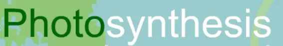 Photosynthesis logo