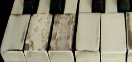 pianoKeys_behaviors.swf logo