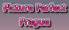 Picture Perfect in Prague logo