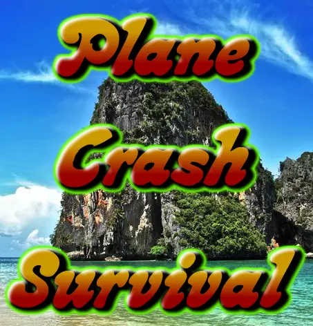 Plane Crash Survival logo