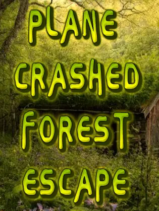 Plane Crashed Forest Escape logo
