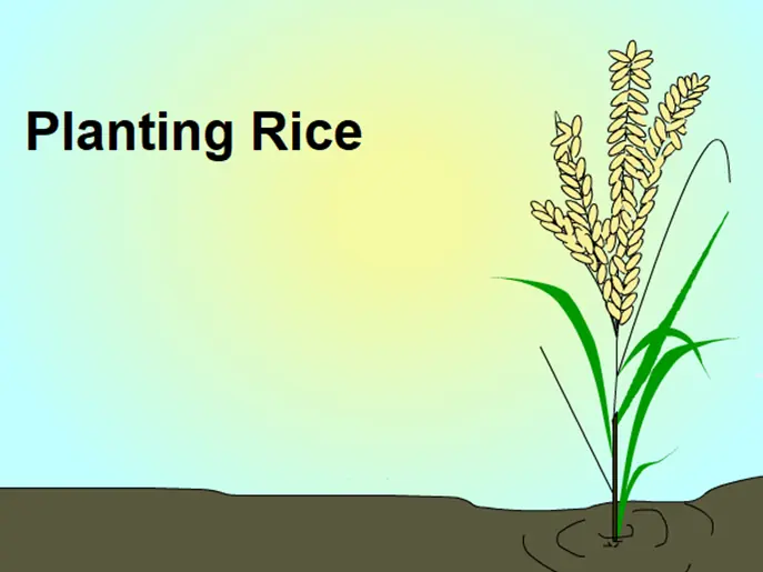 Planting Rice logo