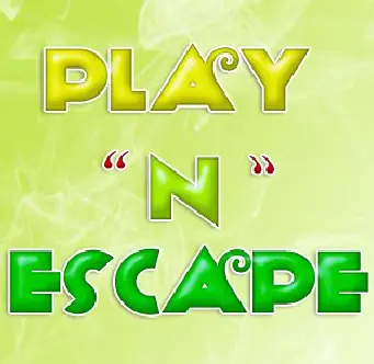 Play N Escape logo