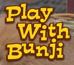 Play with Bunji logo