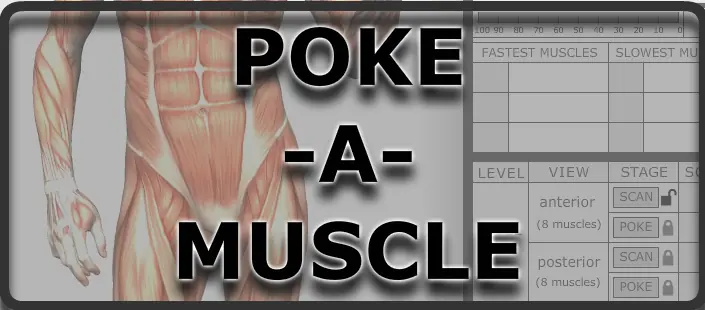 Poke-A-Muscle logo
