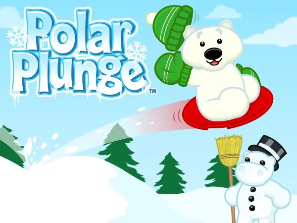 Polar Plunge logo