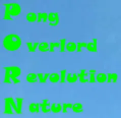 PORN logo