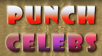 Punch Celebs logo