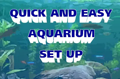 Quick and Easy Aquarium Set Up logo