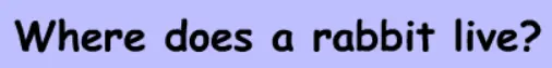 Rabbit Quiz logo