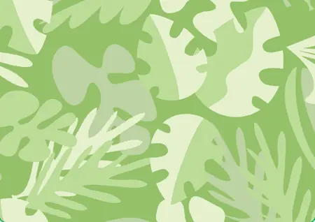 Rainforest Surprise! Game logo