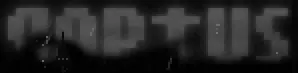 Raptus logo