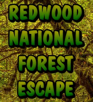Redwood National Forest Escape logo