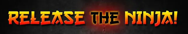 Release the Ninja logo