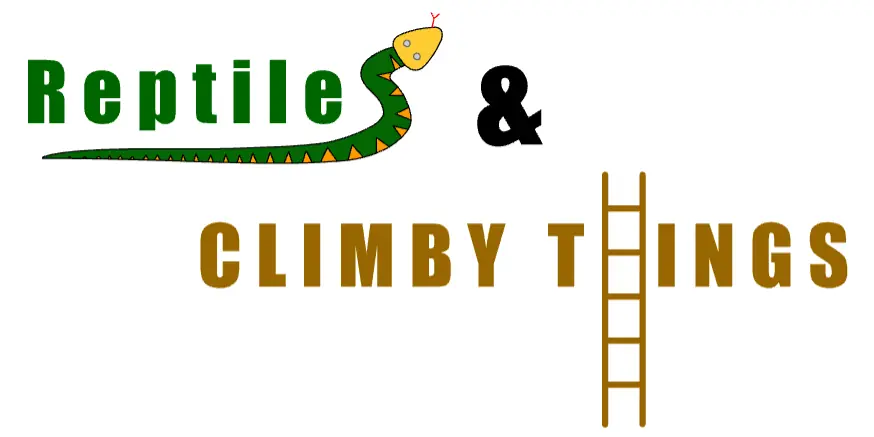 Reptiles & Climby Things logo